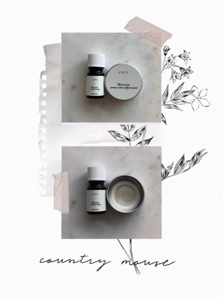 Introducing Orange & Yuzu Aroma Essential Oil & plate