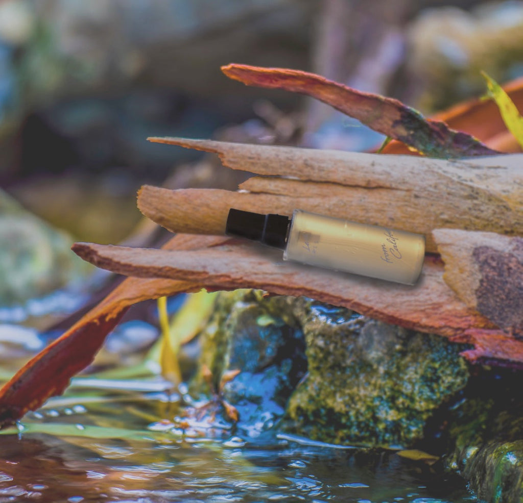 Say Goodbye to Dandruff with Heads-Up Lotion